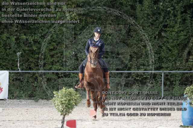 s_DSC06167.JPG